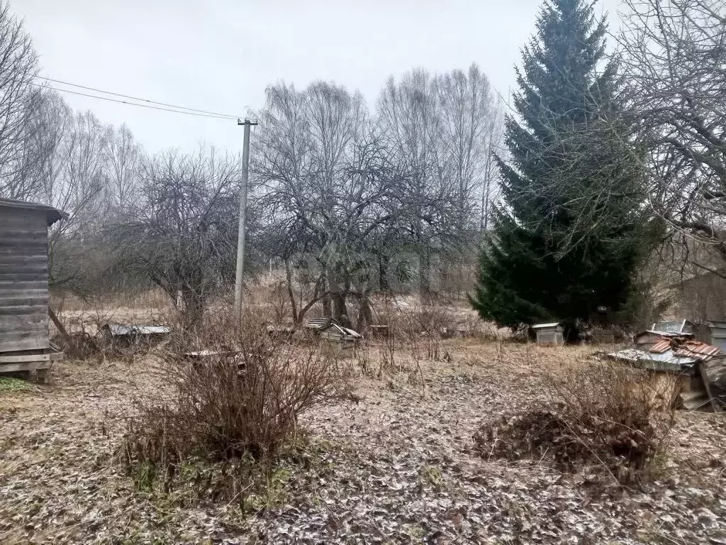 Дом в Псковская область, Опочецкий муниципальный округ, д. Роги 1 (42 ... - Фото 1