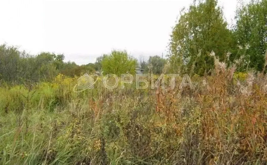 Участок в Тюменская область, Нижнетавдинский муниципальный округ, ... - Фото 2