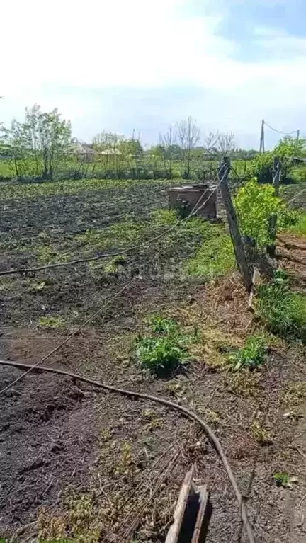 Участок в Краснодарский край, Красноармейский район, Новомышастовское ... - Фото 0