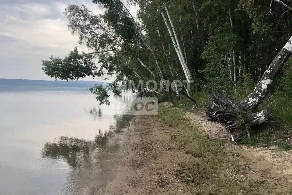 Участок в Иркутская область, Иркутский муниципальный округ, пос. ... - Фото 2