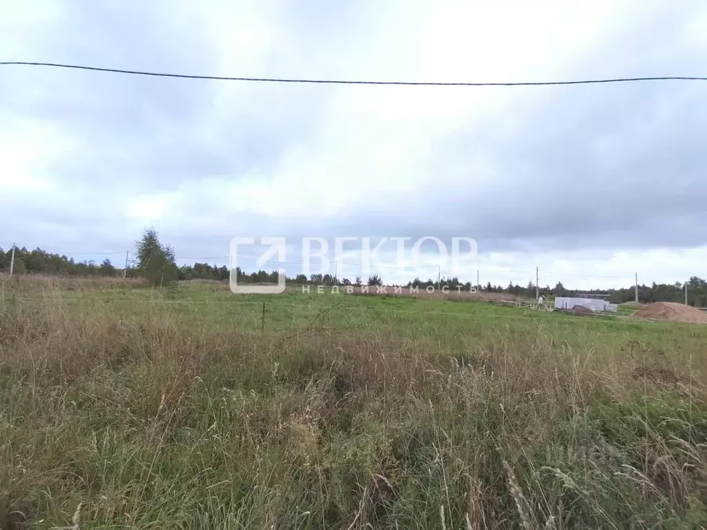 Участок в Костромская область, Судиславский район, Расловское с/пос, ... - Фото 1