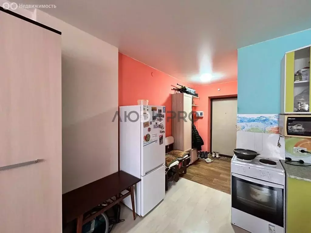 Квартира-студия: деревня Хохряки, Муромская улица, 4 (24 м) - Фото 1