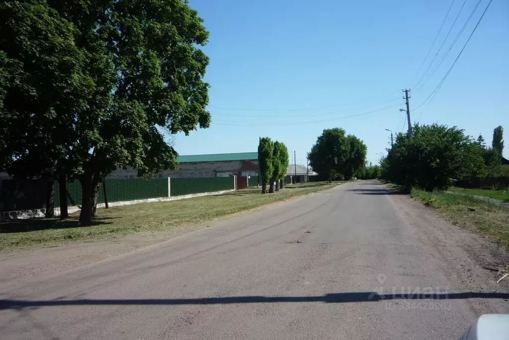 Склад в Воронежская область, Воронеж ул. Дубровина, 26 (33000 м) - Фото 2