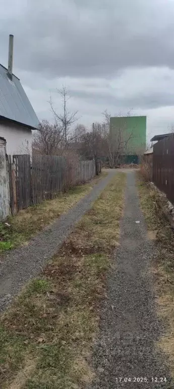 Дом в Новосибирская область, Новосибирский район, Толмачевский ... - Фото 1