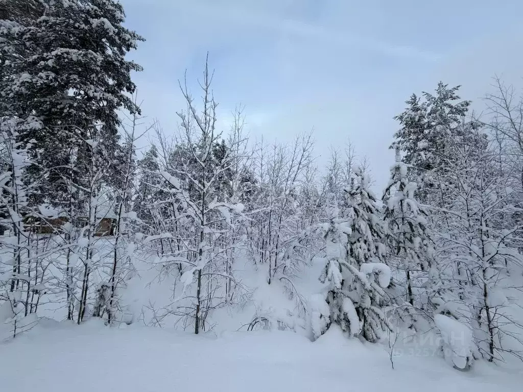 Участок в Коми, Корткеросский район, Посад СДТ 1-я линия (10.31 сот.) - Фото 1