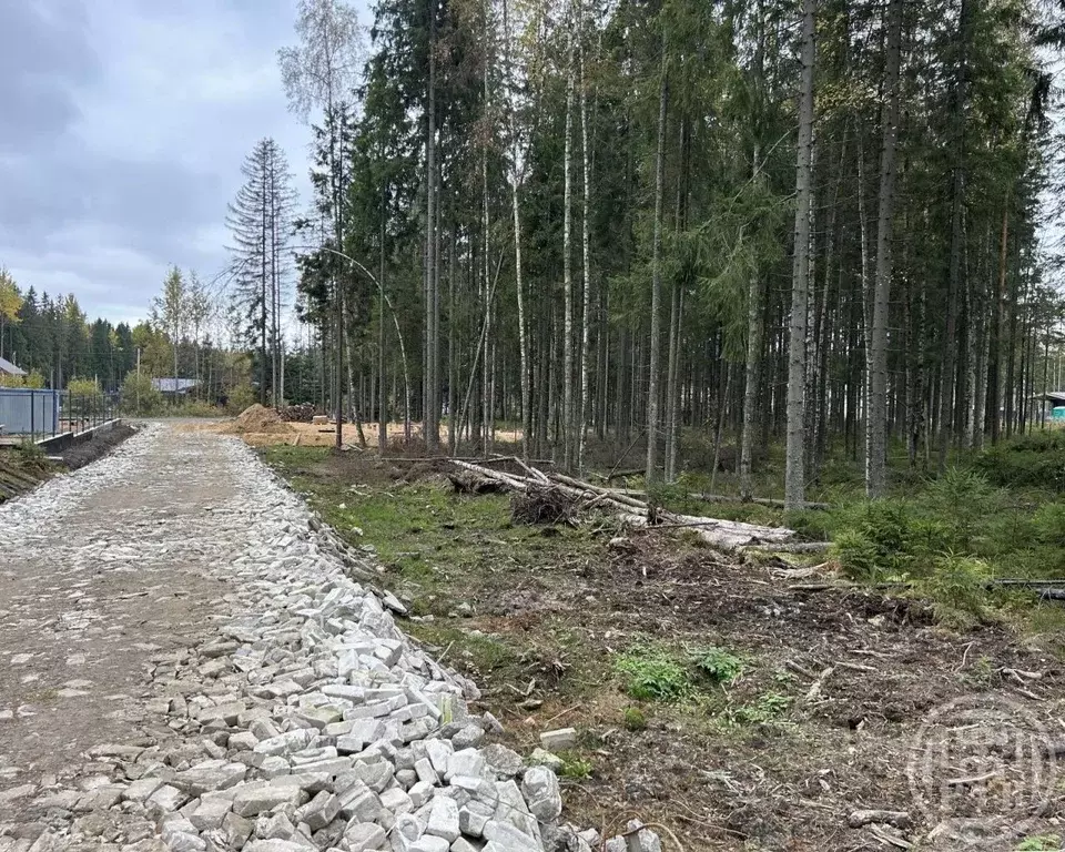 Участок в Ленинградская область, Сертолово Всеволожский район, Медное ... - Фото 2