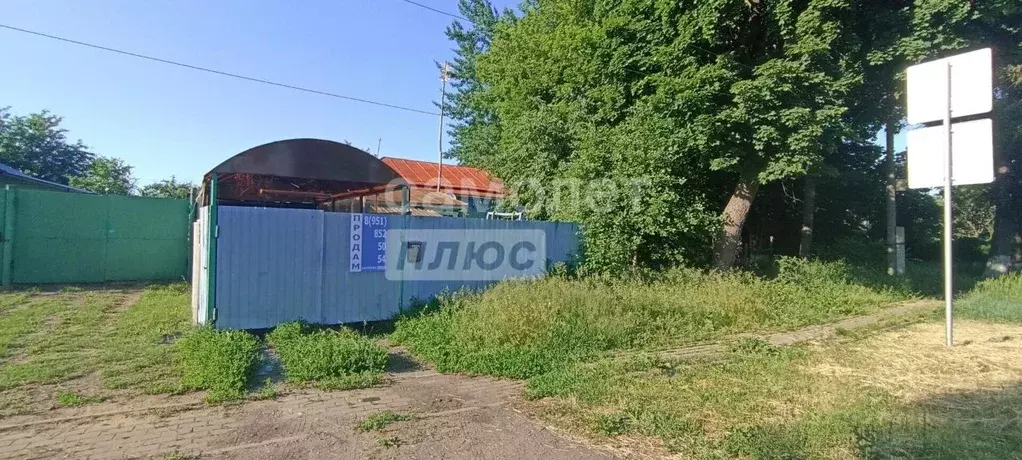 Дом в Воронежская область, Новоольшанское с/пос, пос. Нижнедевицк ул. ... - Фото 1