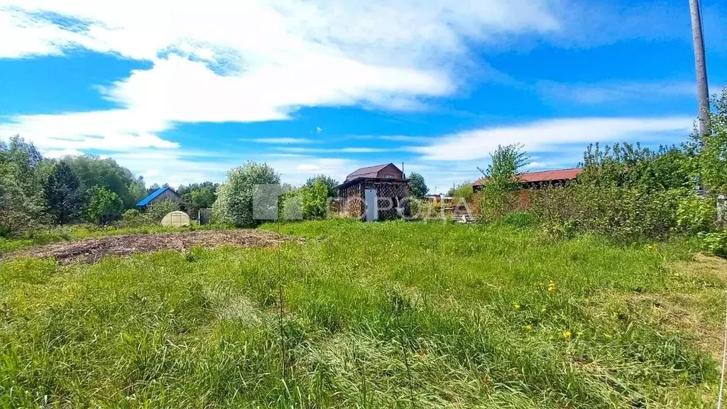 Участок в Томская область, Томский район, Полянка СНТ ул. 3Н (6.0 ... - Фото 2