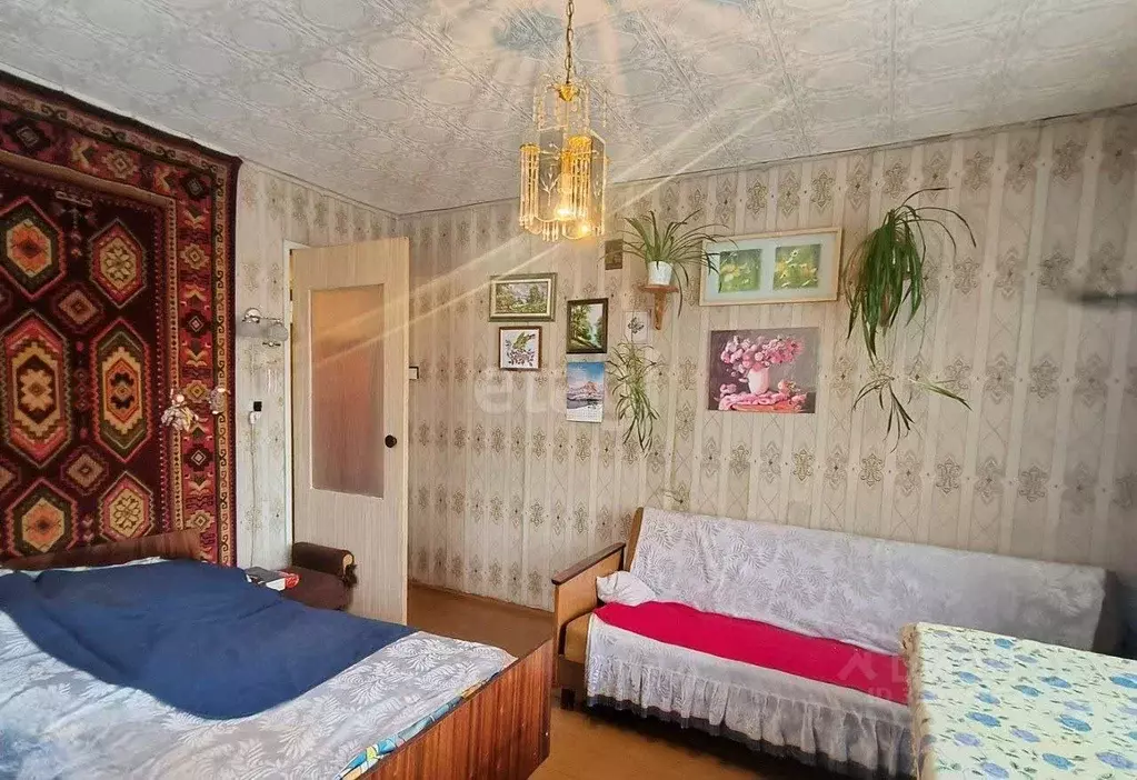 Дом в Владимирская область, Муром с. Панфилово, ул. Новая, 16 (72 м) - Фото 0