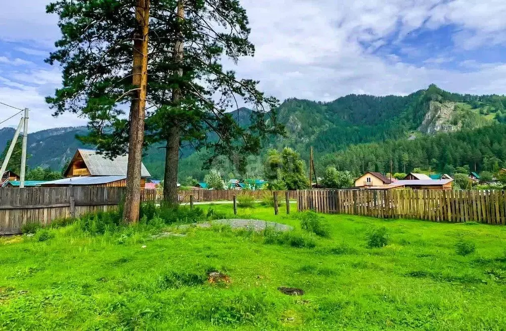 Участок в Алтай, Чемальский район, с. Чепош  (16.0 сот.) - Фото 1