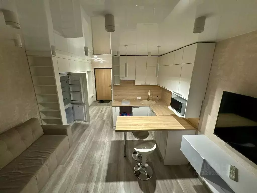 Студия Ленинградская область, Ломоносовский район, Виллозское ... - Фото 2