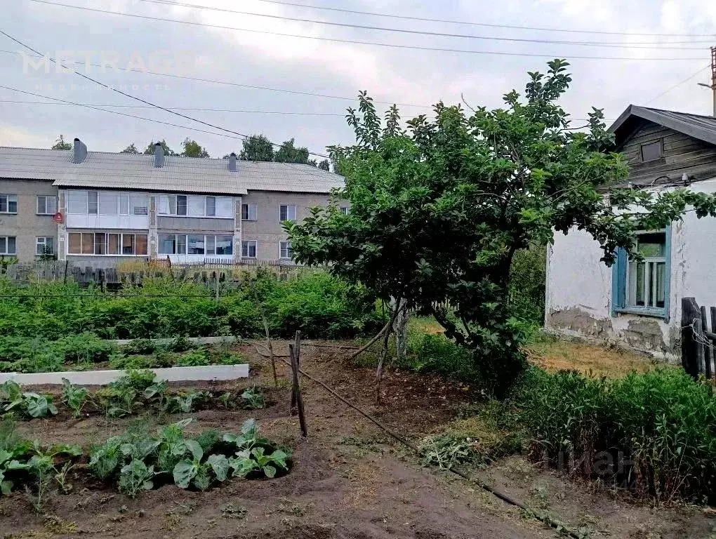 Участок в Новосибирская область, Карасук Коммунистическая ул., 14 ... - Фото 1
