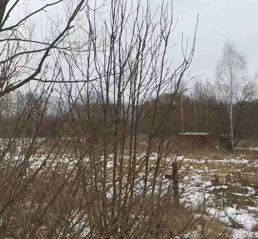 Участок в Московская область, Орехово-Зуевский городской округ, с. ... - Фото 1