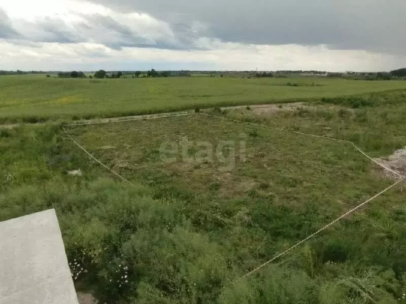 Участок в Калининградская область, Гурьевский муниципальный округ, ... - Фото 2