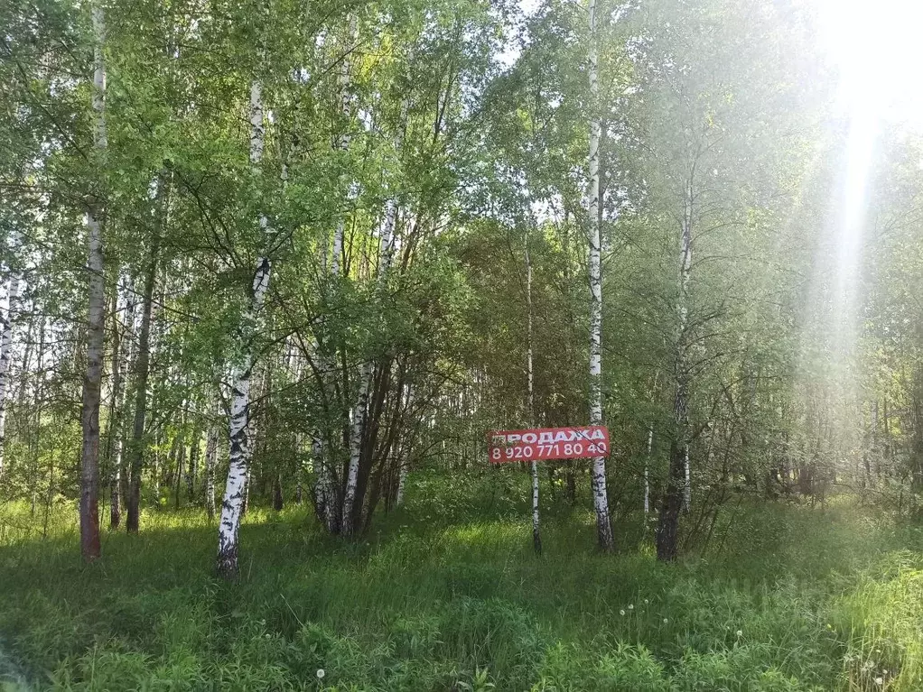 Участок в Тульская область, Тула ул. Чижова (10.0 сот.) - Фото 1