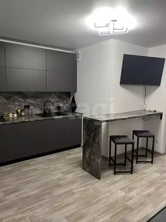 Студия Челябинская область, Миасс ул. Кирова, 86 (24.3 м) - Фото 1