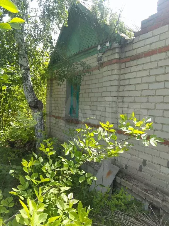 Дача 30 м на участке 9 сот. - Фото 1