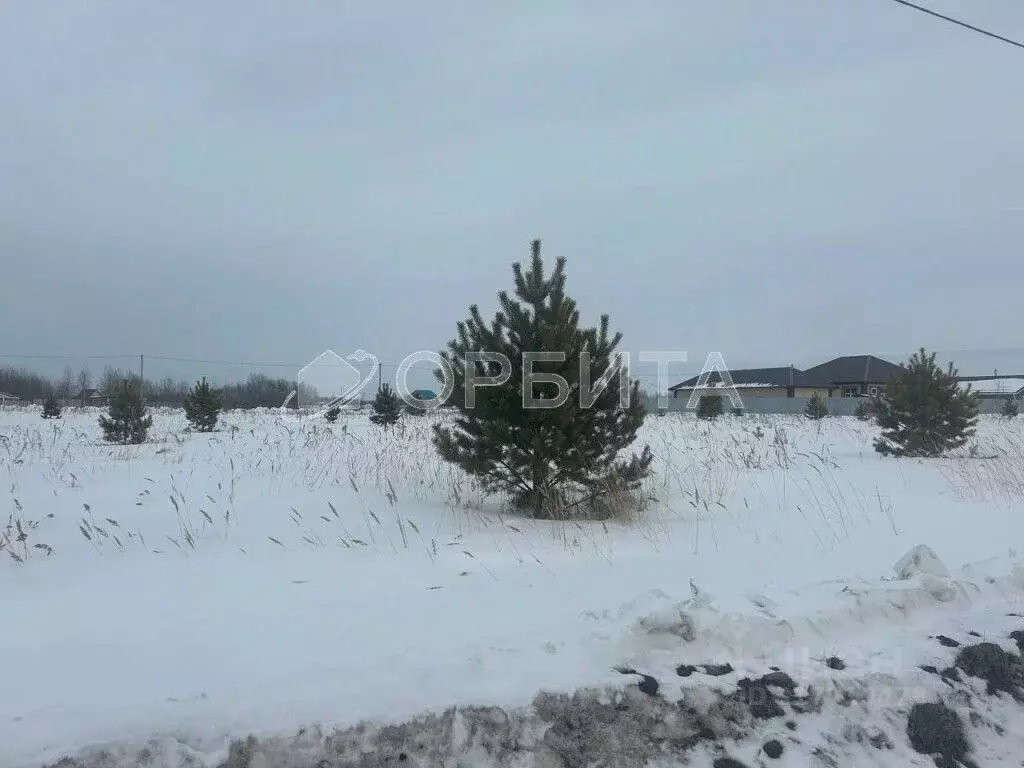 Участок в Тюменская область, Тюменский район, с. Борки  (6.34 сот.) - Фото 0