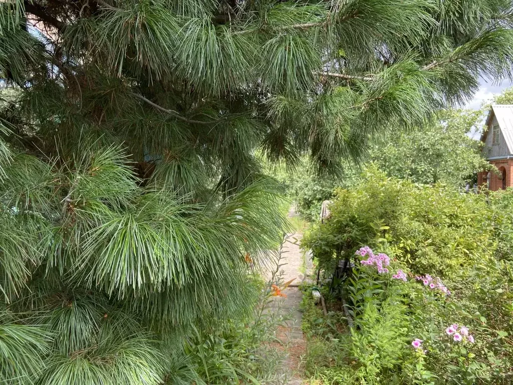 Дом в Омская область, Омск Рассвет СНТ, 538 (24 м) - Фото 2