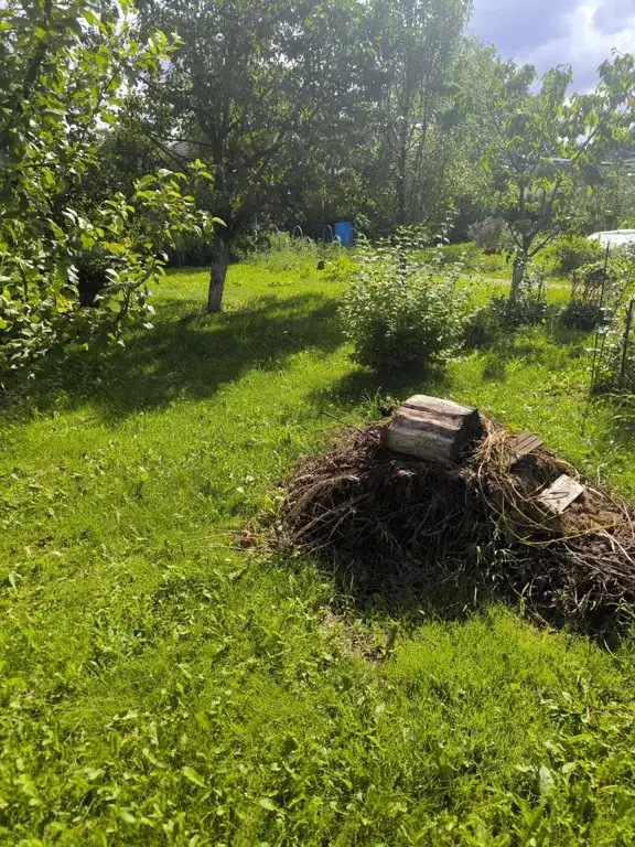 Участок в Калужская область, Боровский район, Кривское с/пос, д. ... - Фото 2