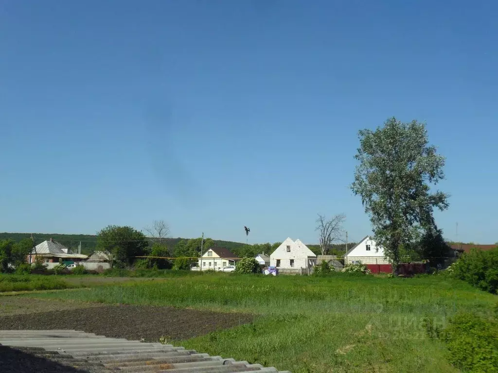 Участок в Белгородская область, Борисовский район, Стригуновское ... - Фото 2