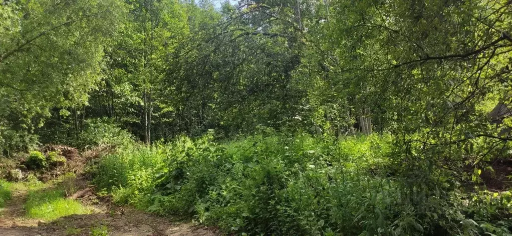 Участок в Московская область, Талдомский городской округ, д. Людятино  ... - Фото 0