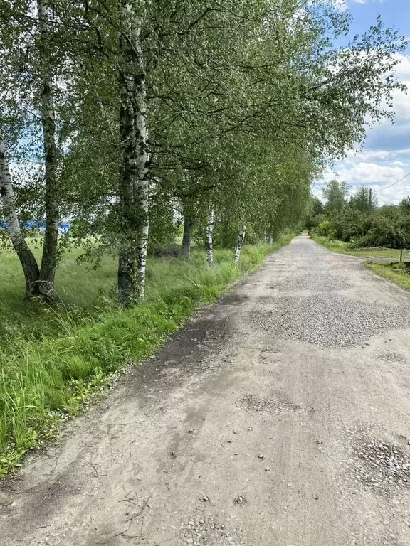 Участок 4 га (СНТ, ДНП) - Фото 1