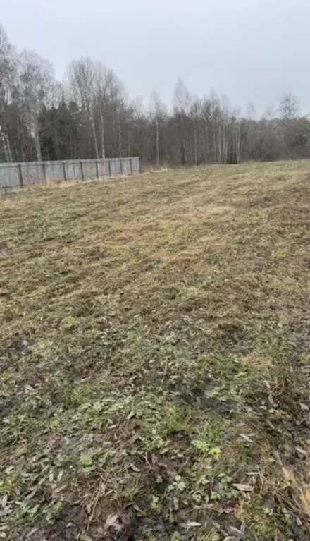 Участок в Калужская область, Боровский муниципальный округ, д. Городня ... - Фото 1