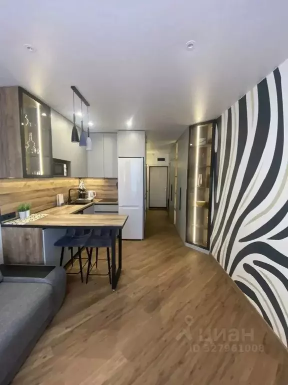 Студия Новосибирская область, Новосибирск ул. Кирова, 115 (27.0 м) - Фото 1