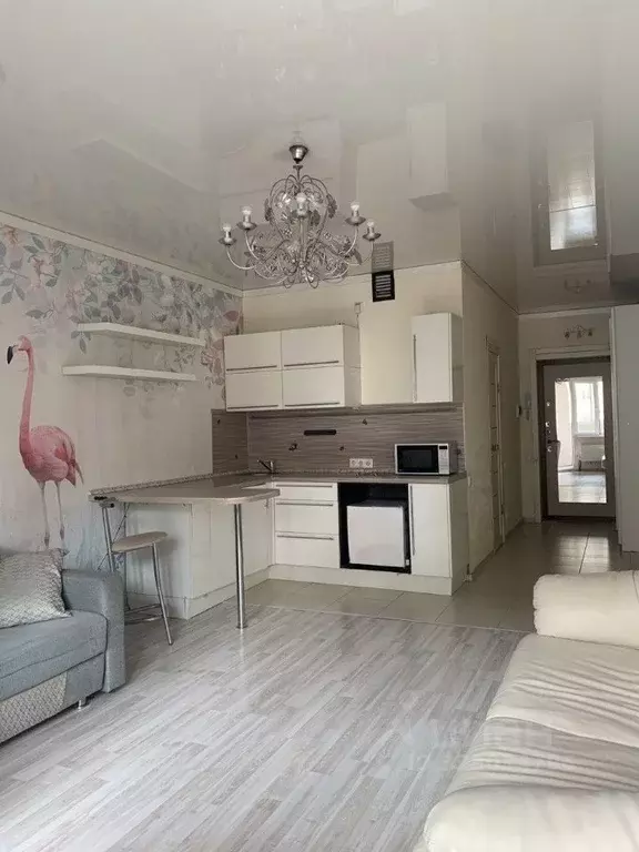 Студия Московская область, Ногинск Богородский городской округ, ул. ... - Фото 1