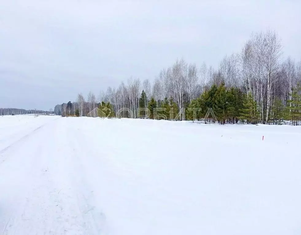 Участок в Тюменская область, Тюменский район, д. Чаплык  (9.12 сот.) - Фото 1