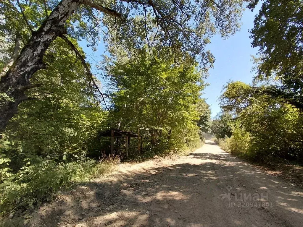 Участок в Краснодарский край, Северский район, Григорьевское с/пос, ... - Фото 2