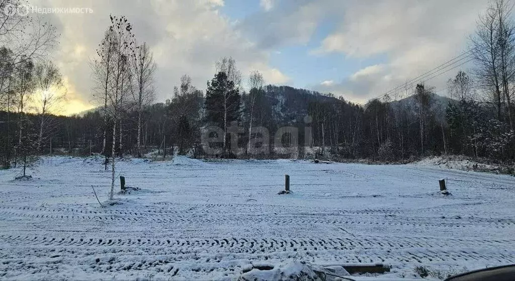 Участок в Майминский район, Соузгинское сельское поселение, посёлок ... - Фото 2
