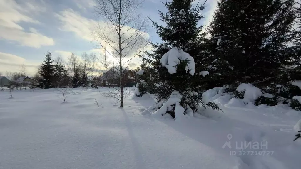Участок в Московская область, Истра муниципальный округ, д. Савельево ... - Фото 0