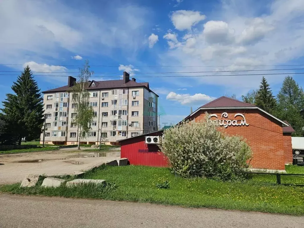 Помещение свободного назначения в Башкортостан, Уфимский район, д. ... - Фото 1
