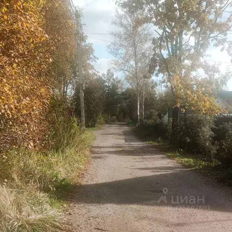 Участок в Санкт-Петербург Искра СНТ, ул. Прилуговая, 57 (7.66 сот.) - Фото 1