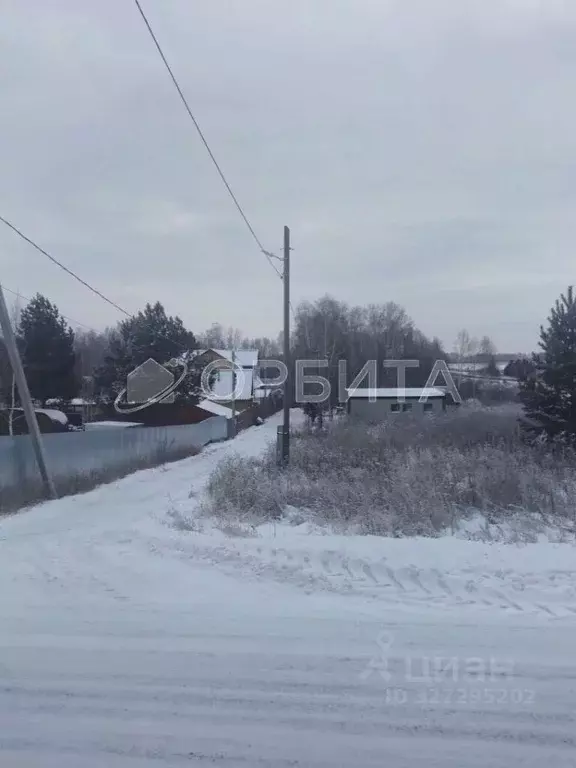 Участок в Тюменская область, Тюменский муниципальный округ, д. ... - Фото 2