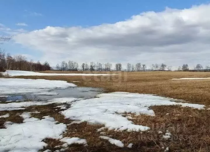 Участок в Брянская область, Навля рп  (1280.0 сот.) - Фото 1