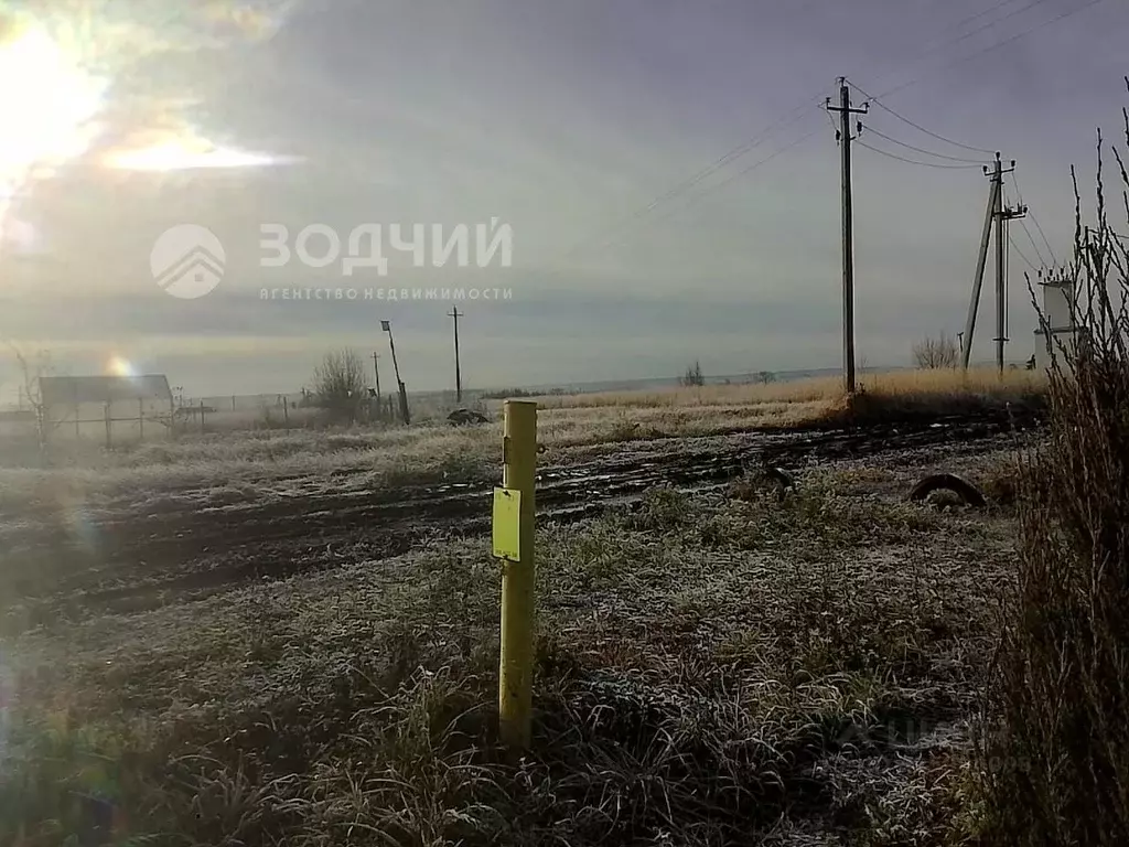 Участок в Чувашия, Чебоксарский муниципальный округ, с. Абашево  (21.0 ... - Фото 2