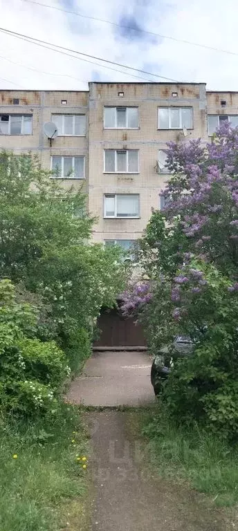 1-к кв. Ленинградская область, Выборг Ленинградское ш., 35 (36.0 м) - Фото 1