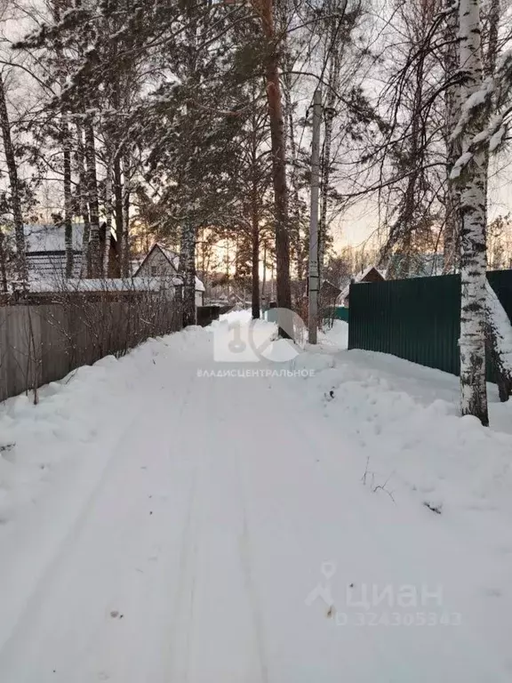 Участок в Новосибирская область, Новосибирск Сибиряк СНТ, ул. Лесная ... - Фото 1