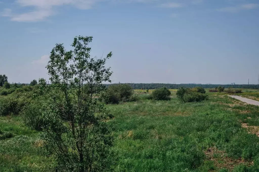 Участок в Ленинградская область, Всеволожский район, Колтушское ... - Фото 0