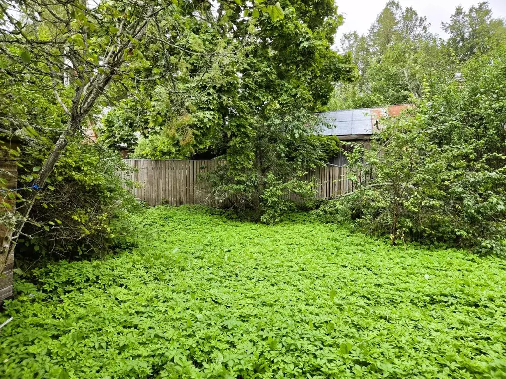 Участок в Ленинградская область, Гатчинский муниципальный округ, ... - Фото 1