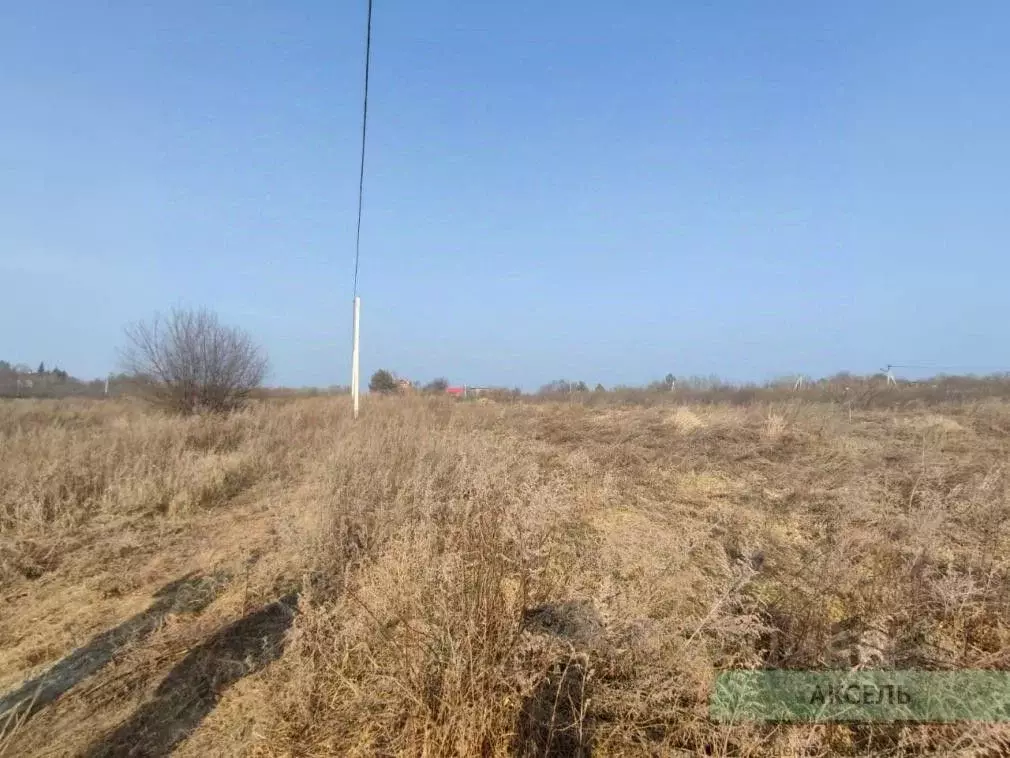 Участок в Амурская область, Благовещенский район, с. Владимировка  ... - Фото 0