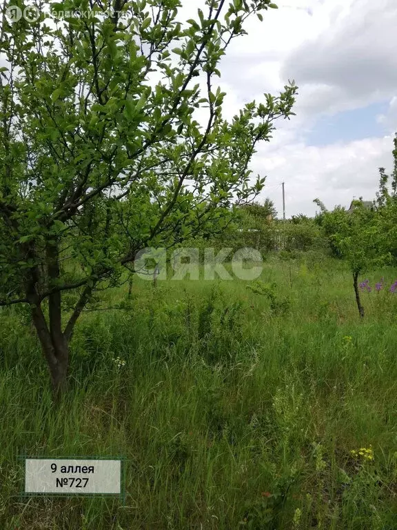 Участок в Мокрый Батай, Молодёжная улица, 28 (4.12 м) - Фото 1