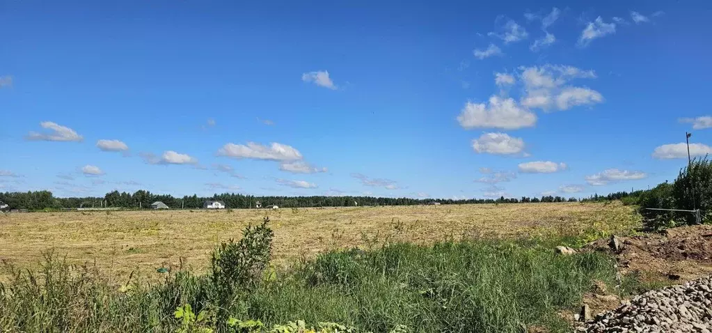 Участок в Московская область, Истра муниципальный округ, д. Манихино  ... - Фото 1