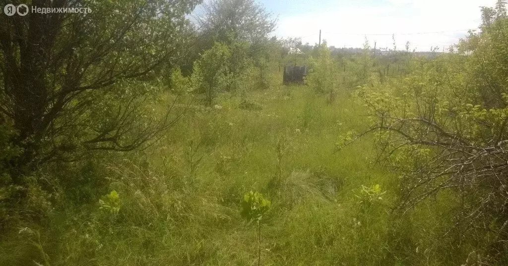 Участок в муниципальное образование Саратов, посёлок Вязовка (20 м) - Фото 0
