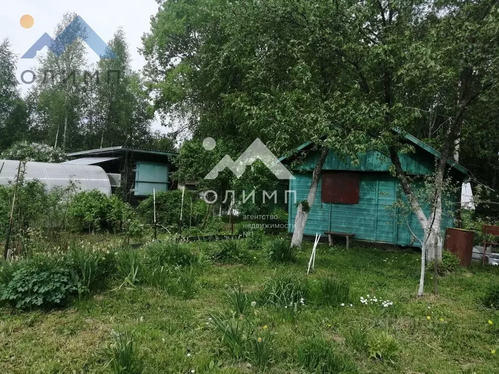 Дом в Вологодская область, Шолда СТ 135 (18 м) - Фото 1