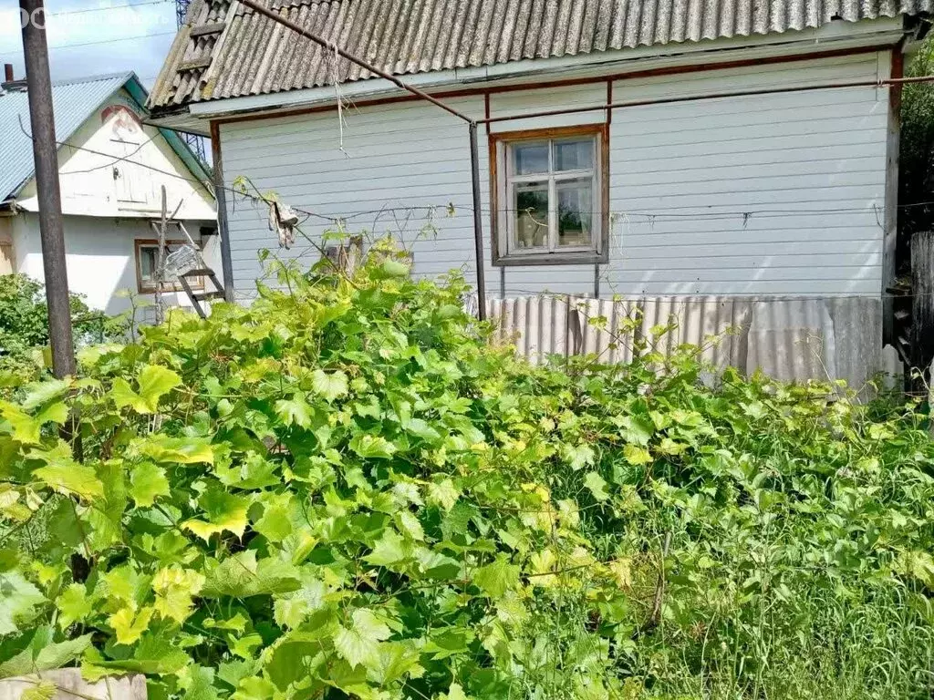 Участок в Наумовский сельсовет, СНТ Ильмень (9 м) - Фото 2