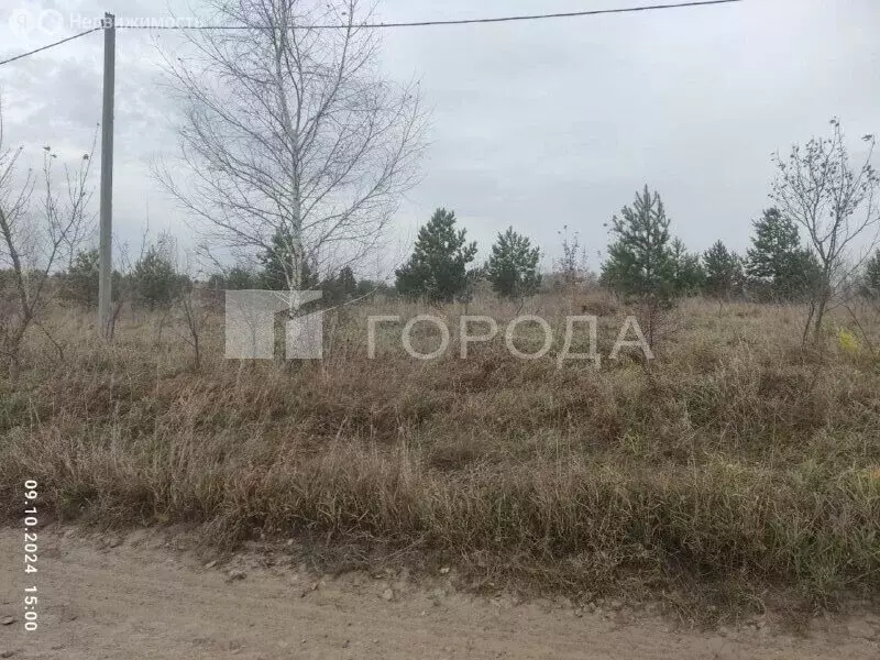 Участок в Первомайский район, посёлок Новый, Берёзовская улица, 24 (12 ... - Фото 1
